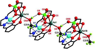 Perspective view of [NiIILNaI(ClO4)(CH3OH)] (2) demonstrating the one-dimensional supramolecular topology generated due to C–H⋯π and O–H⋯O hydrogen bonds. Hydrogen atoms, except those of methanol molecule, are omitted. The ethoxy carbon atoms are also not shown for clarity. Symmetry codes: A, −1 + x, y, z; B, 1 + x, y, z.