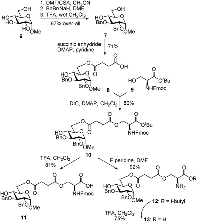 Synthesis of monosaccharide–aminoacid conjugates 10–13.