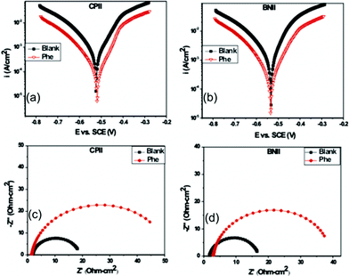 Polarization (a, b) and impedance (c, d) plots of polycrystalline Fe (CPII: a, c) and nanocrystalline Fe (BNII: b, d) in 0.5 M H2SO4 without and with Phe [CPII = conventional polycrystalline ingot iron; BNII = bulk nanocrystalline ingot iron].