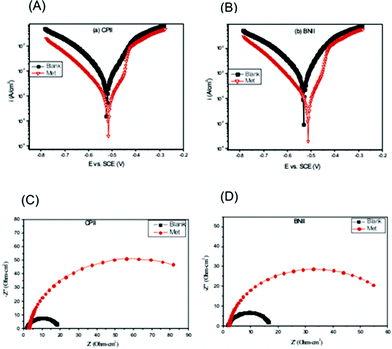 Polarization (A, B) and impedance (C, D) plots of polycrystalline Fe (CPII: A, C) and nanocrystalline Fe (BNII: B, D) in 0.5 M H2SO4 without and with Met [CPII = conventional polycrystalline ingot iron; BNII = bulk nanocrystalline ingot iron].