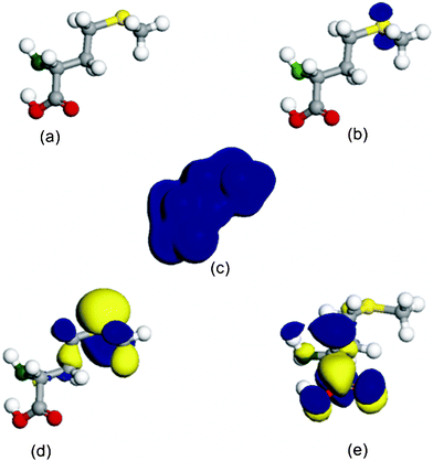 Electronic properties of Met: (a) optimized structure [C, gray; H, white; N, green; O, red; S, yellow]; (b) f−; (c) total electron density; (d) HOMO orbital; (e) LUMO orbital.