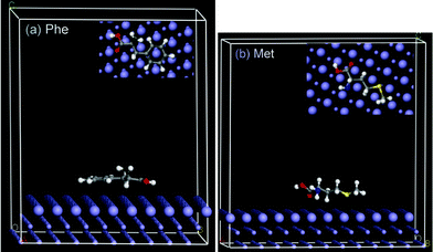 Representative snapshots of (a) Phe and (b) Met adsorbed on Fe (110). Inset images show the on-top views, emphasizing the soft epitaxial adsorption mechanism with accommodation of the molecular backbone in characteristic epitaxial grooves on the metal surface.