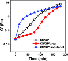 Plateau modulus of G′ as a function of time at 34 °C for CS/β-GP, CS/β-GP/urea and CS/β-GP/isobutanol solutions, respectively (cCS = 1 wt%, cβ-GP = 7 wt%, curea = 5 wt% and cisobutanol = 5 wt%).