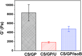 Final storage modulus G′ for CS/β-GP, CS/β-GP/U (urea), and CS/β-GP/isoB (isobutanol) hydrogels after incubated at 34 °C for 48 h (cCS = 1 wt%, cβ-GP = 7 wt%, curea = 5 wt%, and cisobutanol = 5 wt%).