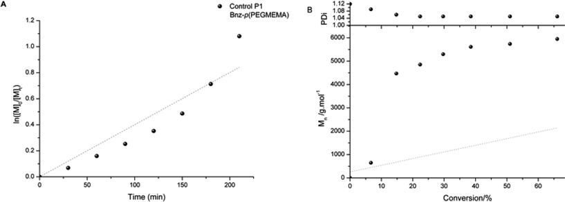 Kinetic plot of Control P1 Bnz-p(PEGMEMA) (a) and evolution of Mn and PDI with conversion (b) (grey points indicate theoretical Mn). Synthesis Conditions: CuBr, N-(n-ethyl)-2-pyridylmethanimine, toluene, 70 °C.