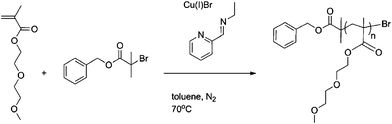 General reaction conditions for control Bnz-p(DEGMEMA)