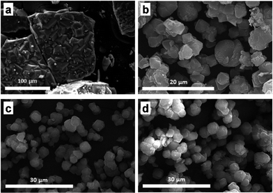 
            SEM images of ZIF-20: (a) material obtained following the report from Hayashi et al.18 (static, 3 days at 65 °C); (b–d) materials obtained at the same temperature in rotation conditions after 1, 2, and 3 days of synthesis, respectively.