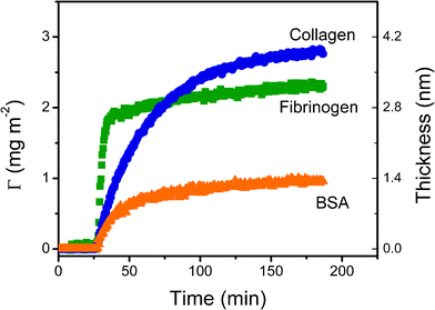 Dynamic adsorption experiments of BSA (in 10 mM PBS at pH = 7.0), fibrinogen (in 50 mM PBS at pH = 7.7) and collagen (in acetate buffer 40 mM at pH = 4.8) at a concentration of 0.01 mg mL−1 onto the nanostructured films.