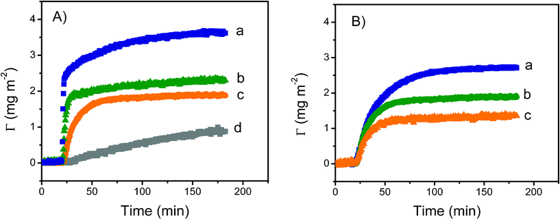 A: Effect of protein concentration on the dynamic adsorption of fibrinogen onto PDMS-like nanofilms. Conditions: (a) 0.1 mg mL−1, (b) 0.01 mg mL−1, (c) 0.001 mg mL−1 and (d) 0.0001 mg/mL. B: Effect of pH on the dynamic adsorption of fibrinogen (0.01 mg mL−1) onto PDMS-like nanofilms. Conditions: (a) pH = 6.6, (b) pH = 7.7 and (c) pH = 8.7.