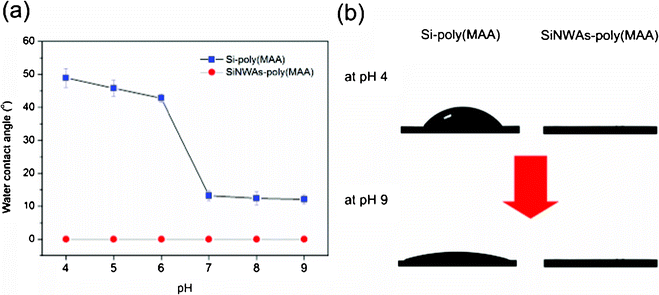 (a) Water contact angle of Si-poly(MAA) and SiNWAs-poly(MAA) surfaces as a function of pH. The typical contact angle images for these surfaces at both pH 4 and pH 9 are shown in (b). Each value is the average of six parallel measurements.
