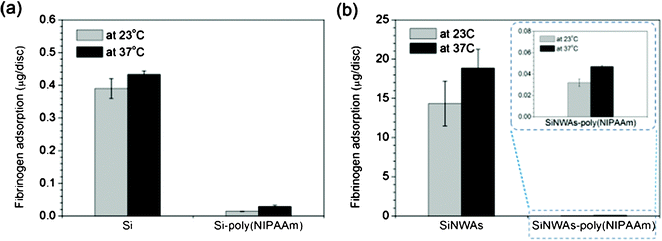 Adsorption of 1 mg mL−1fibrinogen from PBS solution over a 3 h period on (a) pristine and poly(NIPAAm)-modified silicon surfaces and (b) pristine and poly(NIPAAm)-modified SiNWAs surfaces at 23 °C and 37 °C. For SiNWAs samples, the “apparent” surface area of one disc is 0.5 cm2. Data consist of the mean ± standard error (n=3).