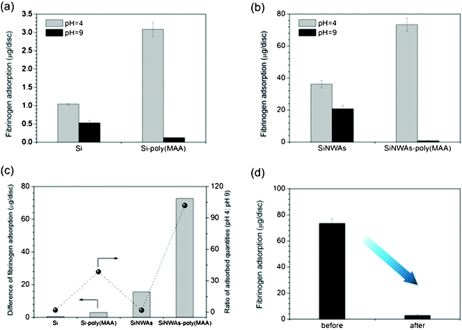 Adsorption of 1 mg mL−1fibrinogen from PBS solution over a 3 h period on sample surfaces at pH 4 and pH 9. (a) Comparison of pristine and poly(MAA)-modified silicon surfaces; (b) comparison of pristine and poly(MAA)-modified SiNWAs surfaces; (c) the difference in adsorption and ratio of adsorbed quantities between pH 4 and pH 9; (d) the remaining adsorbed protein at pH 4 before and after incubation in PBS at pH 9 for 3 h. For SiNWAs samples, the “apparent” surface area of one disc is 0.5 cm2. Data consist of the mean ± standard error (n=3).