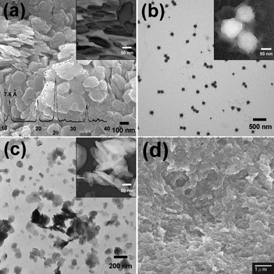
          SEM (a) and TEM (b) micrographs of as-prepared α-ZrP. The XRD pattern of as-prepared α-ZrP in shown overlaid on the SEM (a). (c) TEM image of MPTMS-functionalized α-ZrP nanoplates. (d) SEM image of s-ZrP/Nafion composite membrane C. The inset pictures in (a)–(c) are negative photographs with high magnification.