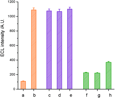 Investigation of the selectivity of the TB sensor to the synthetic TB target strand by comparison with E. coli, S. aureus and P. aeruginosa as negative controls. The ECL responses of the TB sensor to (a) blank, (b) 12.5 pg mL−1TB target strand, (c) 12.5 pg mL−1TB target strand in 500 ng mL−1 genomic E. coliDNA, (d) 12.5 pg mL−1TB target strand in 500 ng mL−1 genomic P. aeruginosaDNA, (e) 12.5 pg mL−1TB target strand in 500 ng mL−1 genomic S. aureusDNA, (f) 500 ng mL−1 genomic E. coliDNA, (g) 500 ng mL−1 genomic P. aeruginosaDNA, and (h) 500 ng mL−1 genomic S. aureusDNA. Conditions: initial potential, 0 V; pulse period, 30 s; pulse time, 0.1 s; pulse potential, 1.0 V; H2O2, 1.0 mmol L−1; CBS, 0.02 mmol L−1 (pH 9.95).