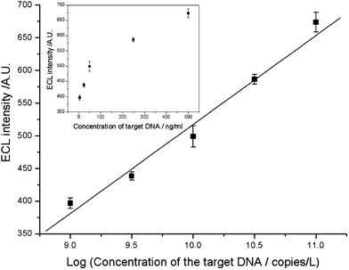 Calibration curve of ECL intensity versus concentration of genomic DNA extracted from standard strains M. tuberculosisH37Rv (ATCC27294). Conditions: initial potential, 0 V; pulse period, 30 s; pulse time, 0.1 s; pulse potential, 1.0 V; H2O2, 1.0 mmol L−1; CBS, 0.02 mmol L−1 (pH 9.95).