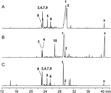 Total ion chromatograms of the headspace extracts of (A) Trichoderma harzianum 714, (B) T. longibrachiatum 594, and (C) T. viride 54. Compound x is an unidentified diterpene.