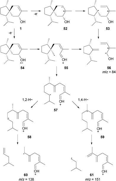 Proposed MS fragmentation pathways to diagnostic fragment ions of 1.