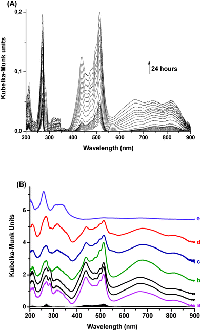 Diffuse reflectance UV-visible absorption (DRUVv) spectra recorded after the mixing of solid PTZ and H6.6ZSM-5 dehydrated at 723 K under argon. (A) 24 h time window. (B) 24 month time window. (a) 8 days; (b) 10 months; (c) 20 months; (d) 24 months after the mixing (e) DRUVv spectra recorded after the mixing of solid PTZ and silicalite-1 dehydrated at 723 K under argon. The spectra are vertically shifted for clarity.