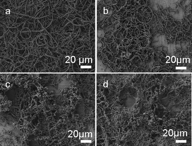 
          SEM images of the samples obtained through keeping CuCl2 and CuBr constant and varying the amount of NaBr from 0 g (a), 0.02 g (b), 0.04 g (c) to 0.06 g (d).