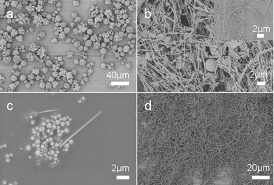 
          SEM images of product obtained after reaction for different times: (a) 2 h, (b) 3 h, (c) 4 h, and (d) 6 h. The product was prepared at 210 °C.