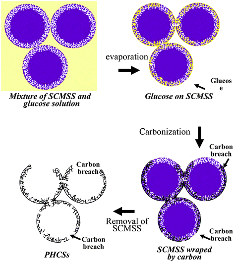 Schematic illustration of the synthesis procedure of PHCSs.