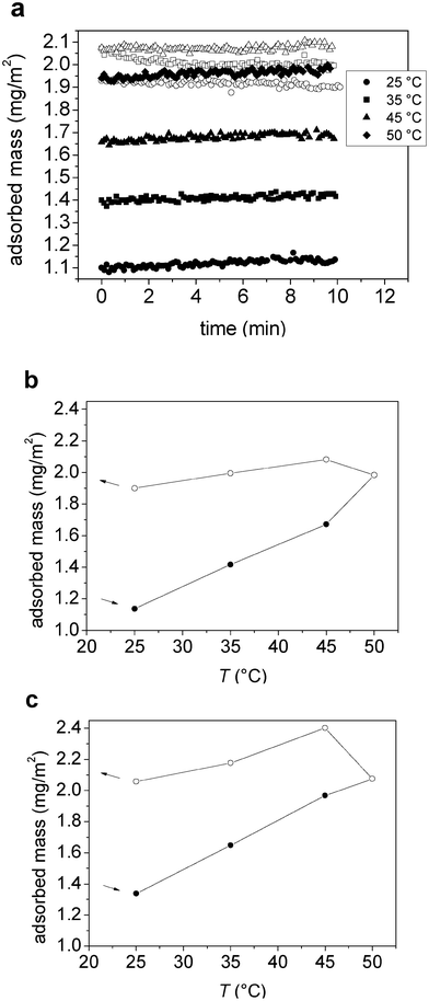 (a) Adsorbed mass (from ellipsometry) versus time after temperature stabilization in the measuring cell at each temperature for M1.6C on silanized silica. Filled and unfilled symbols correspond to data obtained on heating and cooling, respectively. (b–c) Adsorbed mass (from ellipsometry) as a function of temperature for (b) M1.6C and (c) HP0.12M1.57C on silanized silica. After adsorption at 25 °C (40 ppm polymer solution), the polymer was kept in the solution during the entire temperature ramp. Filled and unfilled symbols correspond to data obtained on heating and cooling, respectively. At each temperature the data was evaluated after 30–45 min of equilibration. The arrows indicate the direction of the temperature ramp.