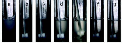 Photographs of DTAB/SDS mixed surfactant solution with ethylene at 0 MPa (a), 2.5 MPa (b), 2.9 MPa (c), 3.5 MPa (d), 4.0 MPa (e), 4.5 MPa (f), and 5.0 MPa (g).