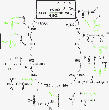 Proposed catalytic cycle for generating important ketoimine IM8 from HCHO and CH3CN (R = CH3–). Note that the blue-dashed lines denote hydrogen bonds.