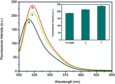 
          Fluorescence emission spectra of PHIV (100 nM) at different conditions: (a) PHIV-PS complex; (b) PHIV-PS complex + 600 nM T1; (c) PHIV-PS complex + 600 nM T2. Inset: the corresponding fluorescence intensity histograms with error bar. The concentration of PS used in each sample is 0.83% (w/v). All measurements were done in Tris-HCl buffer (pH: 7.4) containing 5 mM Mg2+ in the presence of 50% (volume ratio) human blood serum. Excitation was at 480 nm, and the emission was monitored at 525 nm.