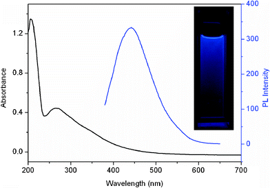 
          UV-vis adsorption (black line) and photoluminescence (PL) spectra (blue line) of the CNDs dispersion. Inset: the photograph of CNDs dispersion under UV light (365 nm).