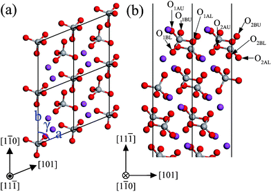 The structure of the unrelaxed stoichiometric (111̄) surface: (a) top view, (b) side view. The atomic labels are the same as that in Table 5.