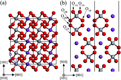 The structure of the unrelaxed stoichiometric (010) surface: (a) top view, (b) side view. The atomic labels are the same as that in Table 1.