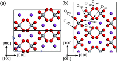 The structure of the unrelaxed stoichiometric (100) surface: (a) top view, (b) side view. The atomic labels are the same as that in Table 2.