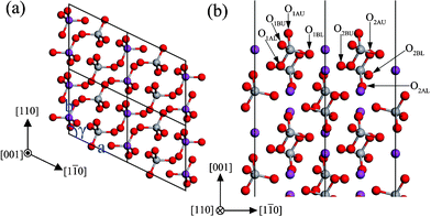 The structure of the unrelaxed stoichiometric (001) surface: (a) top view, (b) side view. The atomic labels are the same as that in Table 3.