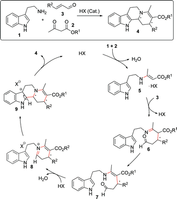 Hypothetical mechanism for the Brønsted-acid catalyzed reaction sequence.