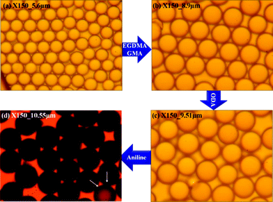 OM images collected from different experimental steps (a) pure PMMA, (b) after adding EGDMA and GMA, (c) after adding ODA and (d) final PA–PEGDMA.