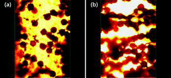 Optical microscopy images of PA–PEGDMA composite particles in silicone oil under an electric field of 0 kV mm−1 (a) and an electric field of 0.3 kV mm−1 (b).