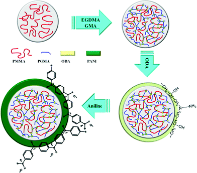 Designed experimental mechanism to synthesize PA–PEGDMA.