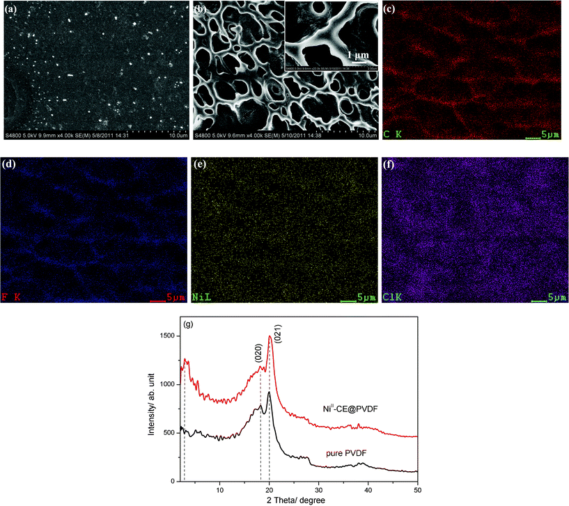 
          SEM images (a–b) and XRD patterns (g) of the pure PVDF film and the Ni(II)-CE@PVDF film, respectively. Inset of (b) is the corresponding magnified SEM picture. DES analysis of the Ni(II)-CE@PVDF film is shown in (c)–(f). Photos of (c), (d), (e), and (f) are the element mappings of C, F, Ni, and Cl, respectively. The XRD peaks at around 2θ = 18.1° and 20.0° are assigned to the (020) and (021) planes of the α phase of PVDF film.