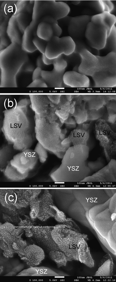 
            Field-emission SEM images of LSV electrode surfaces: (a) freshly reduced, (b) after the fuel cell testing in H2–50 ppm H2S for 120 h (Fig. 6), and (c) after the long term testing as given in Fig. 8.