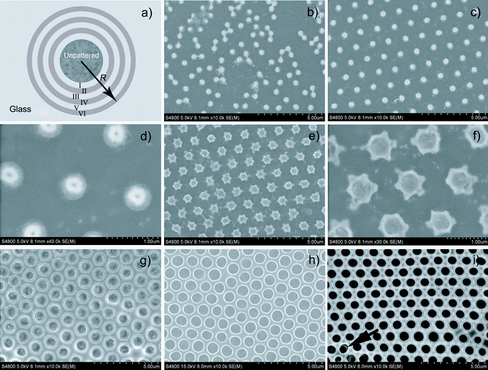 Schematic illustration of different domains formed on the cast film (a). SEM images of domain I (b), domain II (c and d), domain III (e and f), domain IV (g), domain V (h), and domain VI (i).