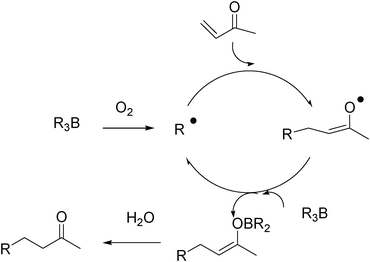Mechanism for the radical conjugate addition of alkyl boranes to α,β-unsaturated compounds.