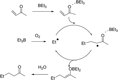 Complete proposed mechanism for the radical conjugate addition of alkyl boranes to α,β-unsaturated compounds.