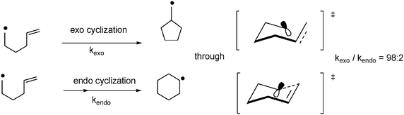 
            Exo versus endo cyclization of 5-hexyl radicals.