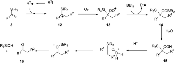 Reaction mechanism of Et3B-induced synthesis of ketones from alkenylsilanes and iodoalkanes in water.