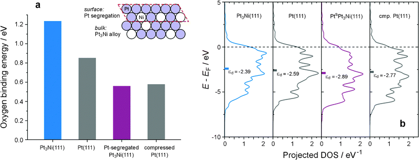 The electronic structure–surface reactivity (ES–SR) relationship of the Pt3Ni(111) system. (a) The dependence of surface reactivity, gauged by the oxygen binding energy,26 on the surface atomic structure. The surface reactivity of pristine Pt3Ni(111) is higher than that of Pt(111); but it decreases on Pt-segregated Pt3Ni(111) (Inset), akin to that on a virtual Pt(111) surface with the Pt lattice compressed to the same level as that of Pt3Ni. (b) Projected d density-of-states (DOS) of atoms at the topmost layer of Pt3Ni(111), Pt(111), Pt-segregated Pt3Ni(111) (denoted as PtsPt3Ni(111)), and virtual Pt(111) with compressed Pt lattice (cmp. Pt(111)).