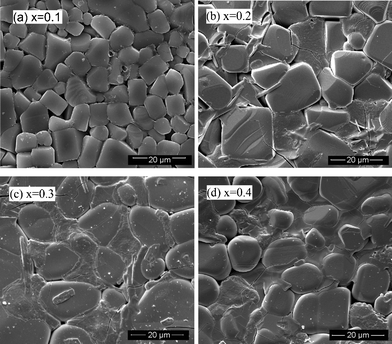 Surface morphology of sintered pellets with different x.