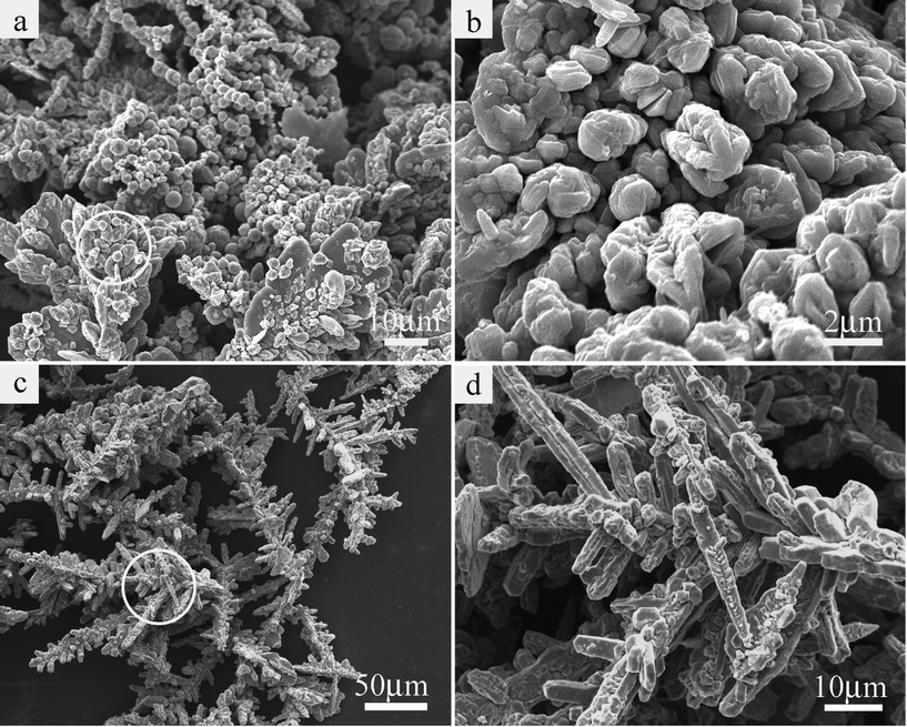 
            SEM images of Co products prepared using two different concentrations of NaOH: (a) and (b) 1 M, (c) and (d) 6 M. (b) and (d) are the enlarged images based on the circular region marked on (a) and (c), respectively.