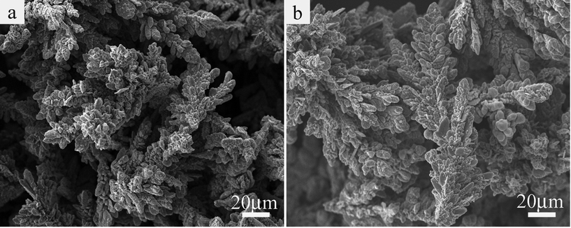 
            SEM images of Co products prepared using different growth stages of the hydrothermal reaction process: (a) 5 h, (b) 10 h.