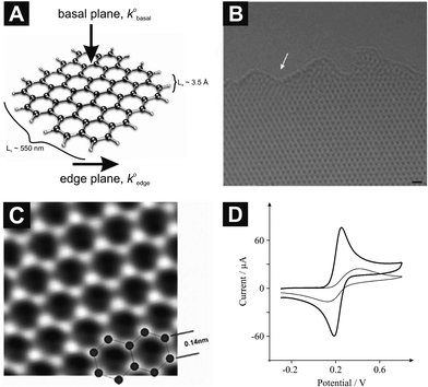 
          (A) Schematic representation of graphene indicating its edge and basal sites, where the heterogeneous electron transfer rate of the former (k0edge) is anomalously faster over that of the latter (k0basal), which constitutes the largest contribution to its surface area. Also shown are the relative sizes as indicated by the intraplanar microcrystallite size, La, and interplanar microcrystallite size, Lc. (B) A high-resolution TEM image, where the white arrow indicates the edge of the graphene sheet; scale bar is 4 Å. (C) An atomic-resolution image (TEAM 0.5) of a clean and structurally perfect synthesized graphene sheet. Individual carbon atoms appear white in the image. (D) Cyclic voltammetric profiles recorded for 1 mM potassium ferrocyanide (II) in 1 M KCl using an EPPG electrode (thick line), and a BPPG electrode (thin line): Scan rate: 100 mVs−1 (vs.SCE). B and C are reproduced with permission from Ref. 22.